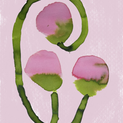 Abstract Pink Blooms