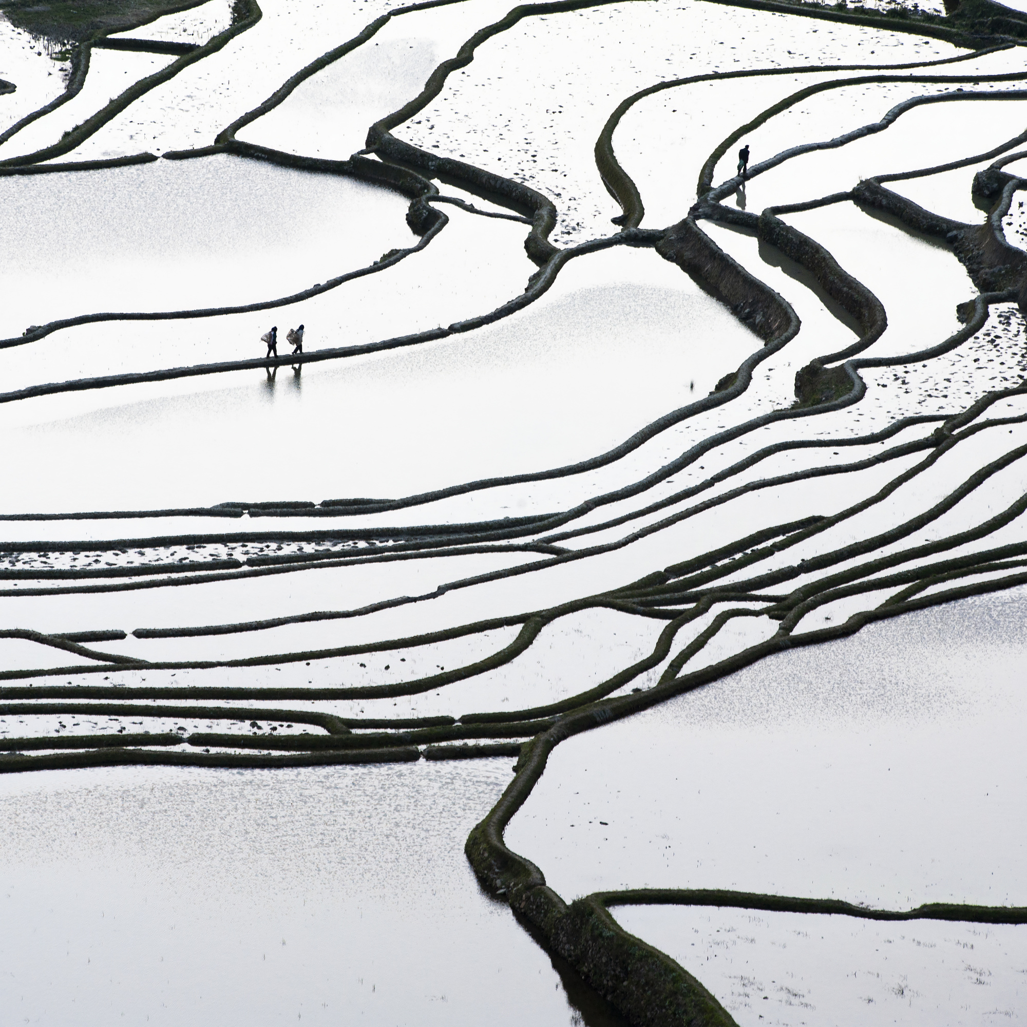 Walking on the Long Ridges by LIGON