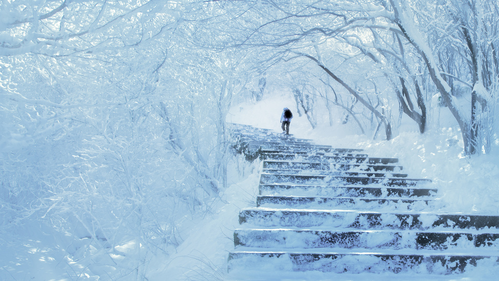 Frozen Winter Journey by Shu-Guang Yang — canvas wall art