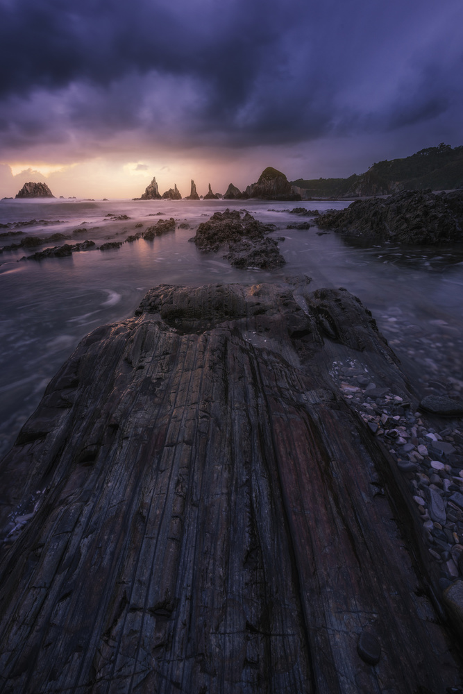 Purple Coastal Sunset by Jorge Ruiz Dueso — canvas wall art
