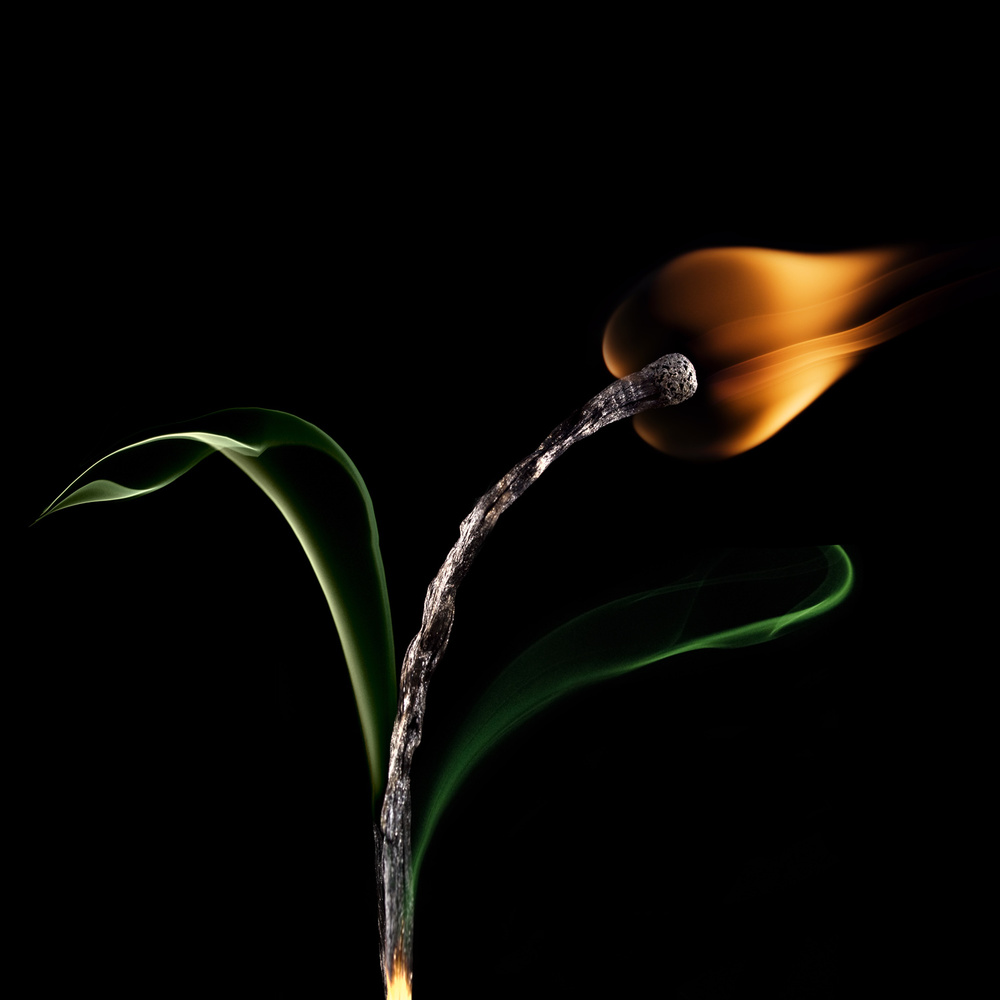 Burning Match Bloom by Stanislav Aristov — canvas wall art