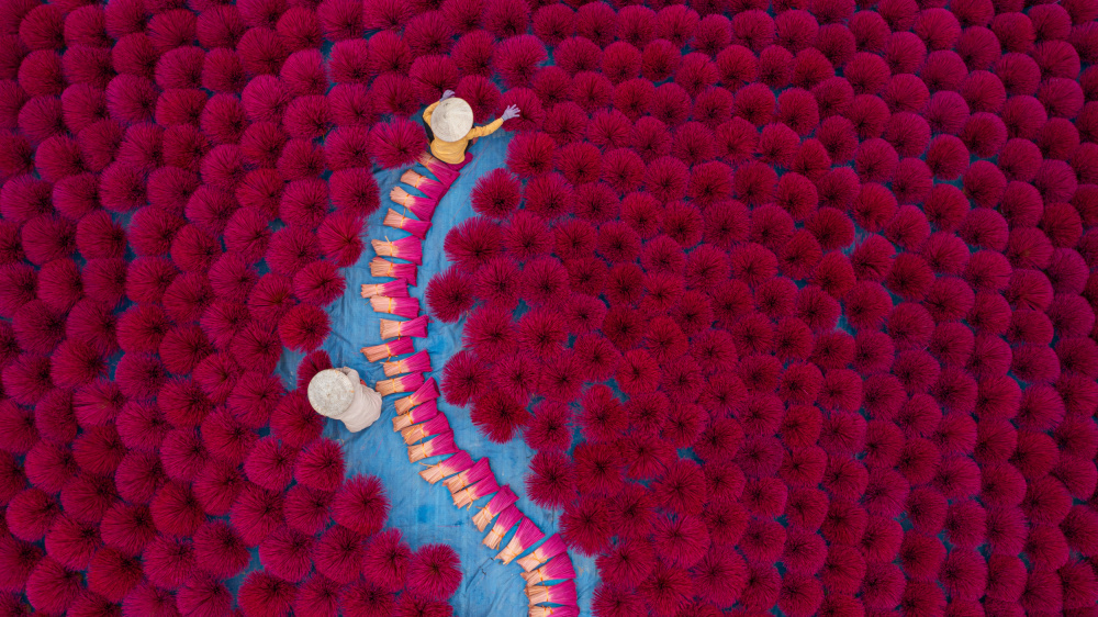 Vibrant Red Incense Field by Azim Khan Ronnie — canvas wall art