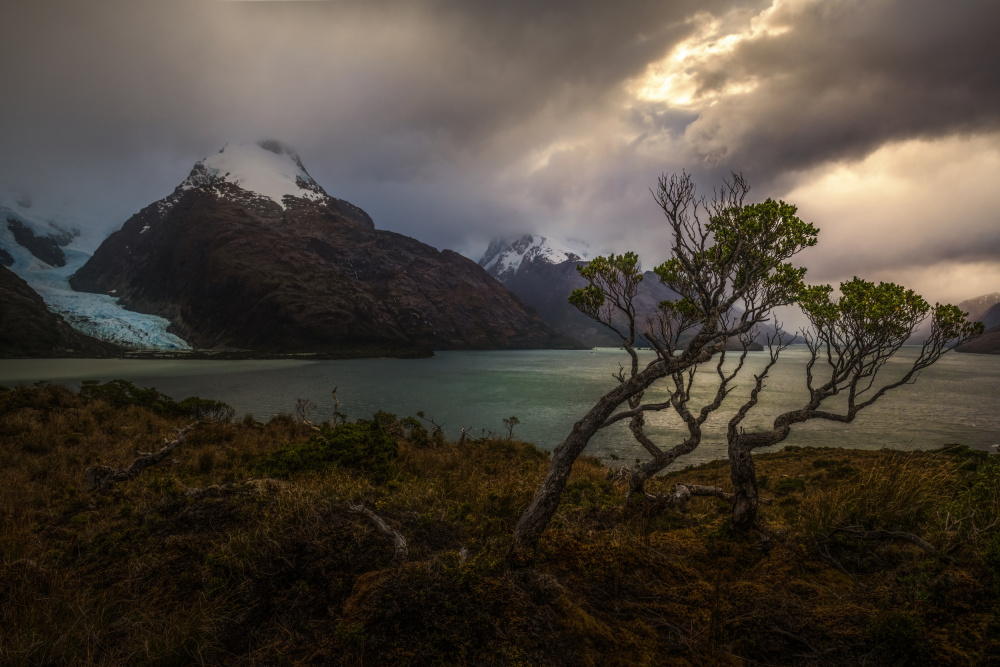 Dramatic Glacial Lake by James S. Chia — canvas wall art