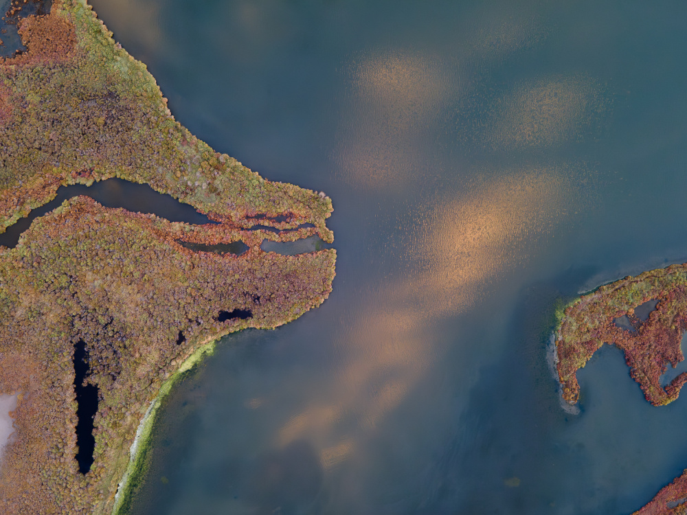 Golden Marshland Aerial by Anna Kirchner — canvas wall art