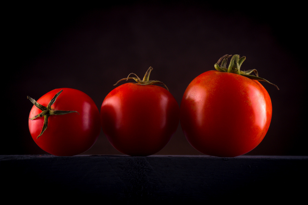 Vibrant Red Tomatoes by Sumit Dhuper — canvas wall art