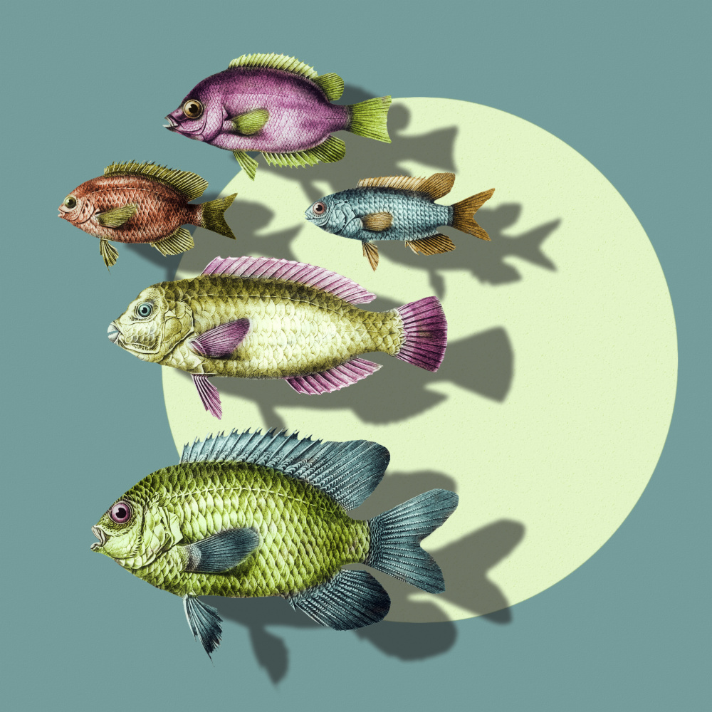 Vibrant Swimming Fish by Marja van den Hurk — canvas wall art