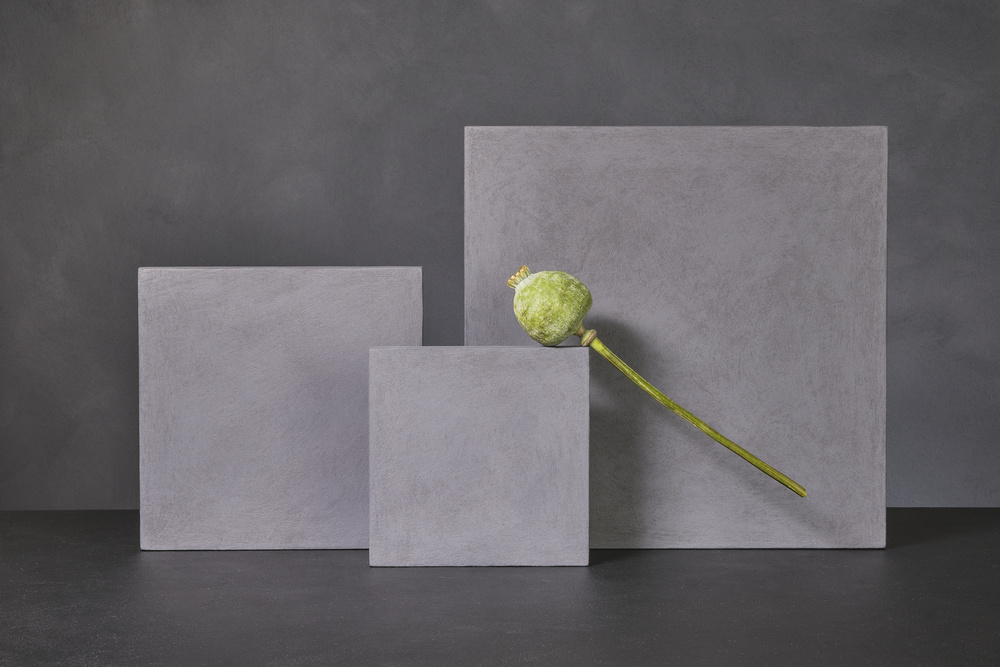Poppy Pod Still Life by Christophe Verot — canvas wall art