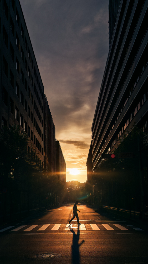 Walking Into Sunset by Yuzo Fujii — canvas wall art