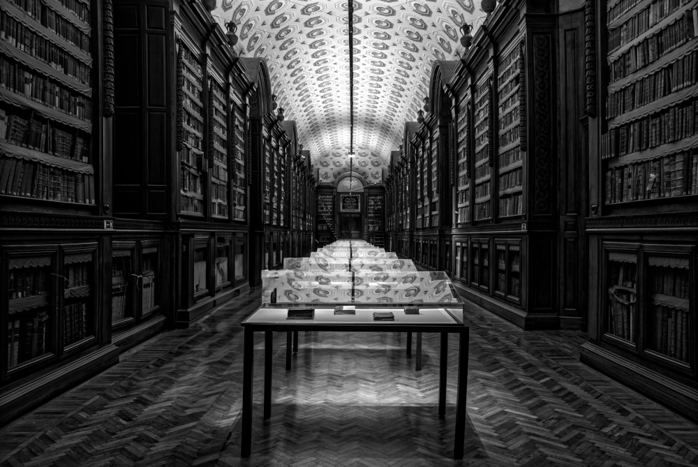 Grand Historic Library by carlo borgatelli — canvas wall art
