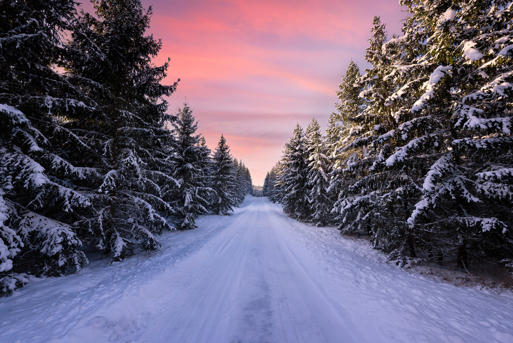 Pink Sky Winter Road by Christian Lindsten — canvas wall art