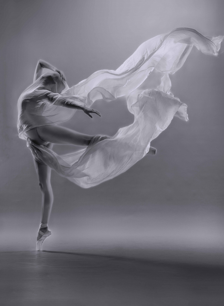 Ethereal Ballet Dancer by Agus Adriana — canvas wall art