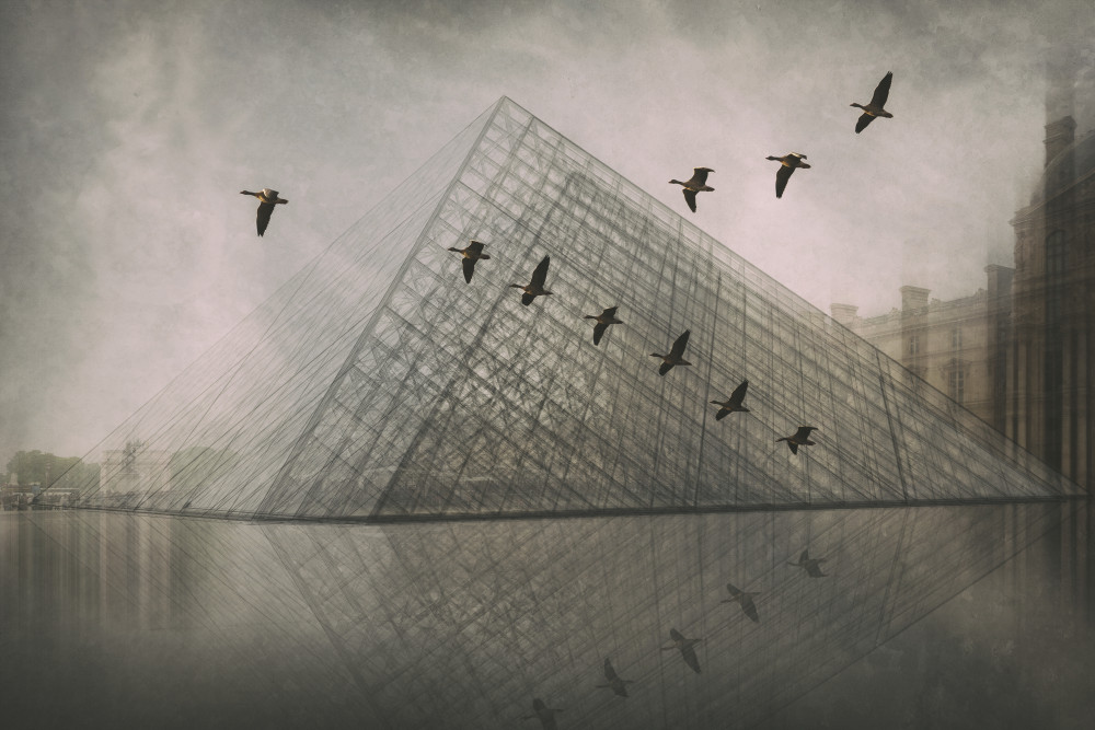 Glass Pyramid Geese Reflection by Roswitha Schleicher-Schwarz — canvas wall art