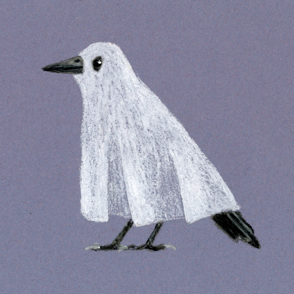 Funny Ghost Bird by Martina Scott — canvas wall art