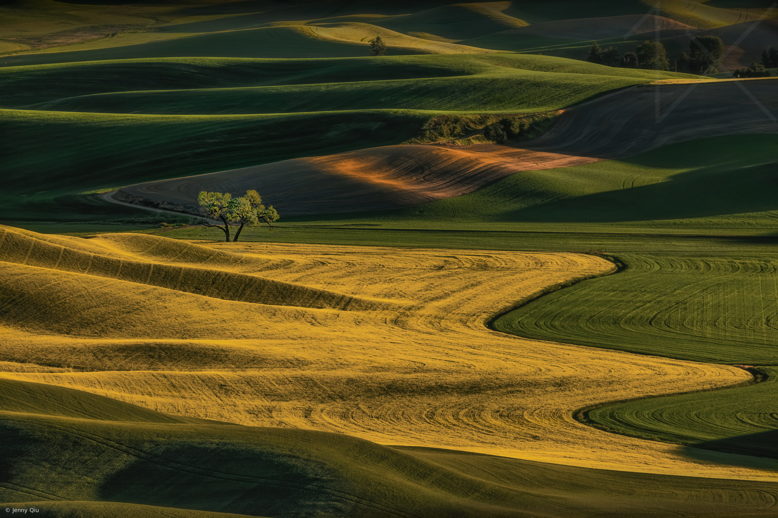 The Golden Rhythm