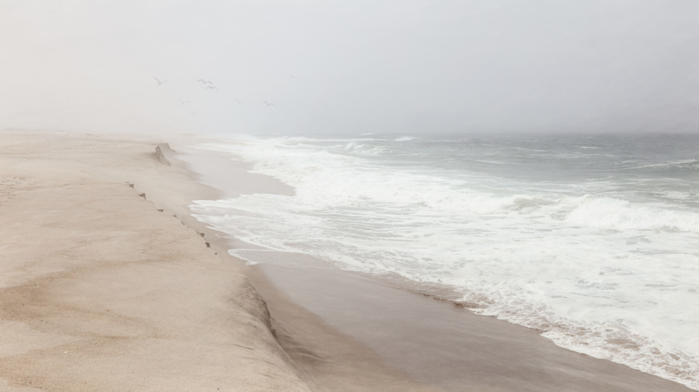 Serene Foggy Beach by Bruno Flour — canvas wall art