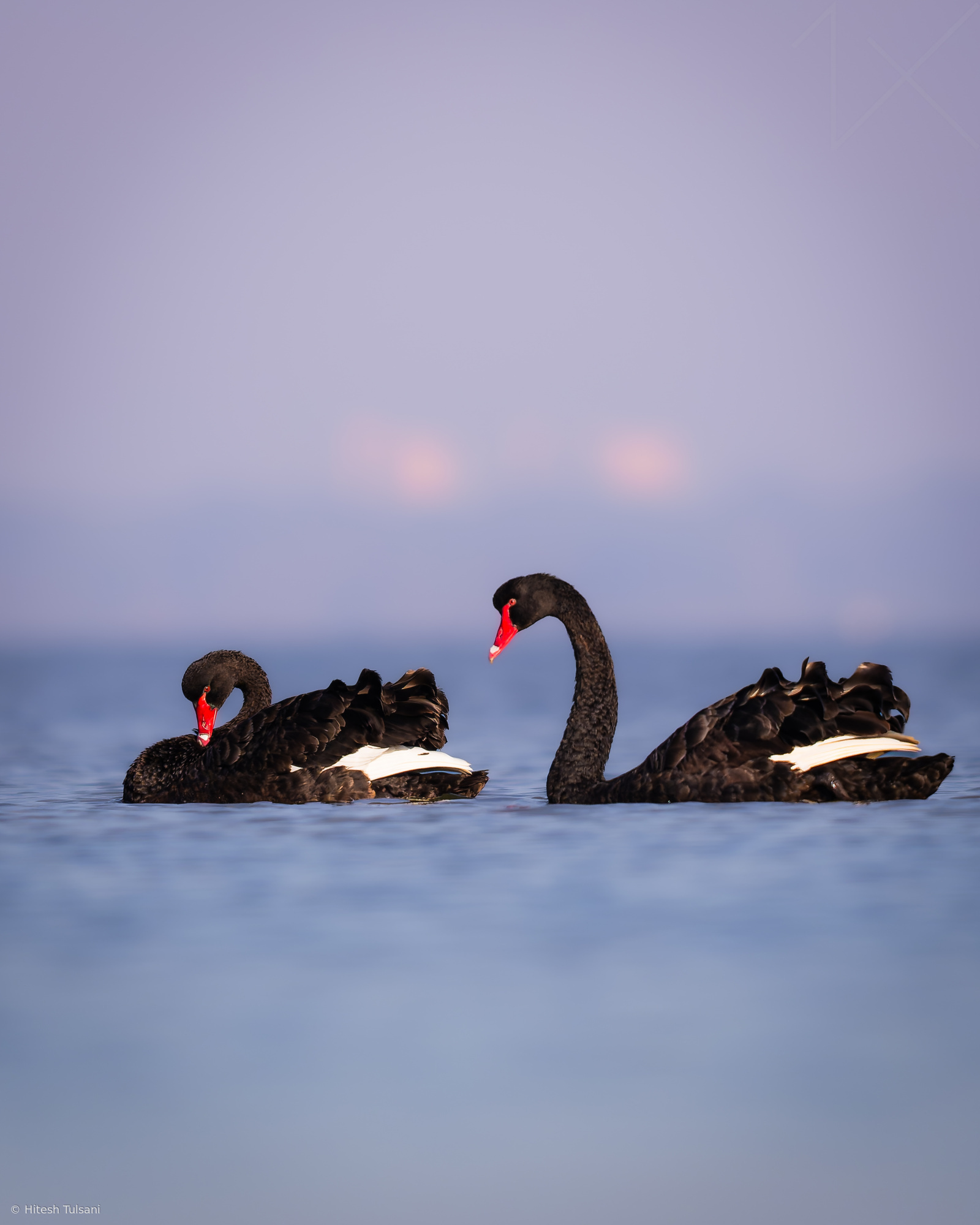 Duet
