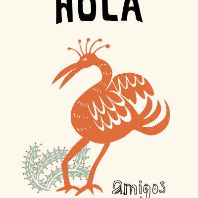 Hola Amigos Bird
