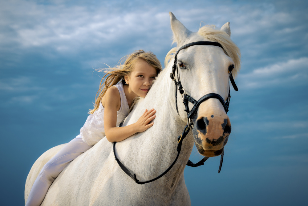 Child's Dream Horse by Silvija Danelsone — canvas wall art