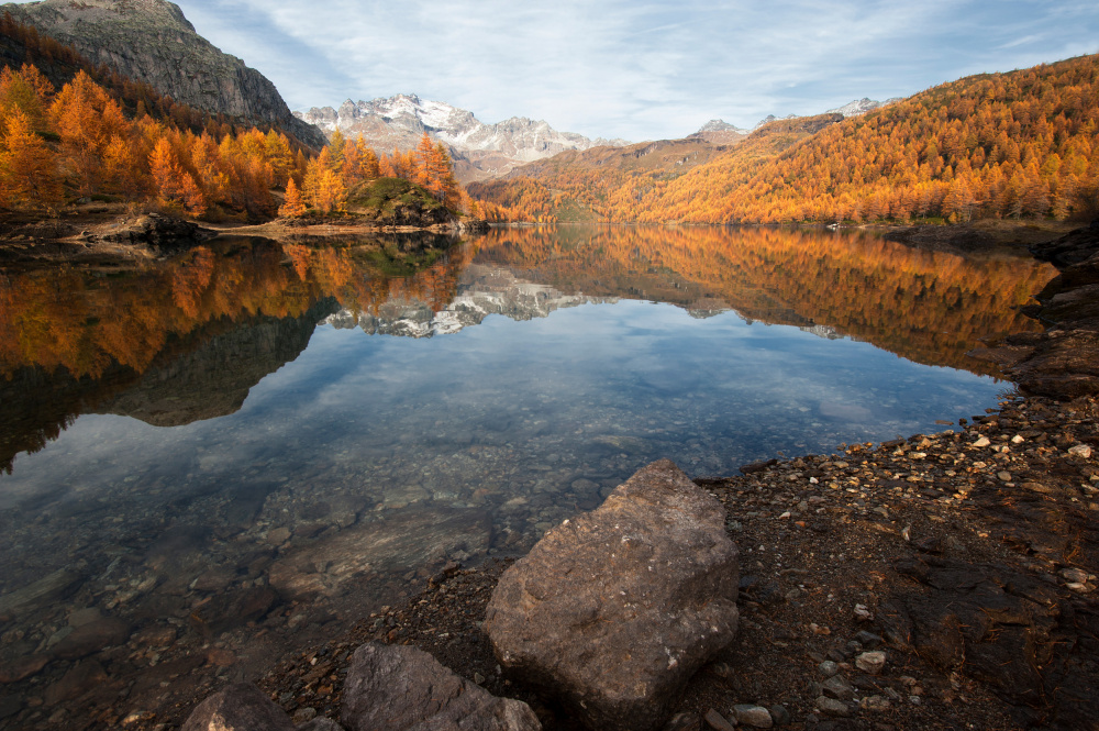 Mountain Lake Fall Colors by Marco Galimberti — canvas wall art