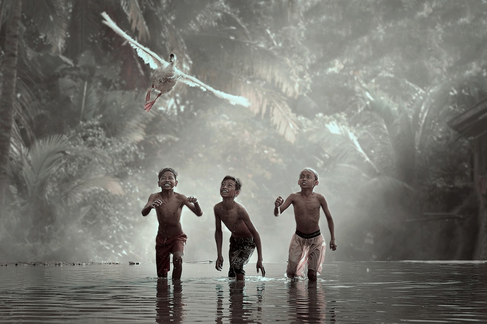 Joyful Boys Flying Swan by Vichaya — canvas wall art