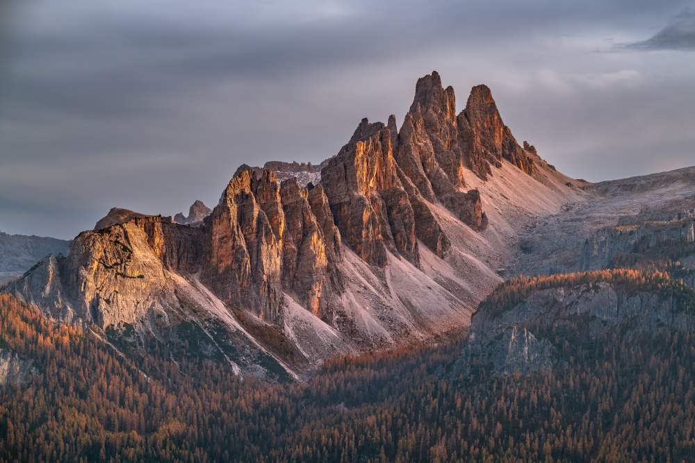 Golden Alpine Peaks by Ariel Ling — canvas wall art