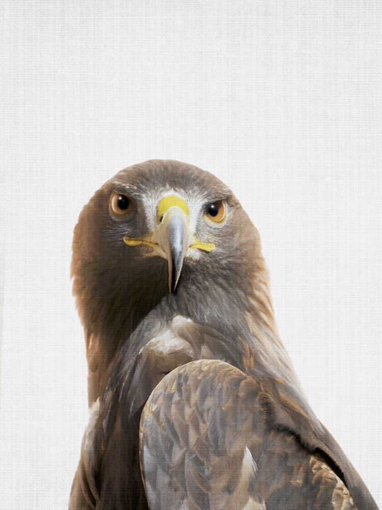 Majestic Golden Eagle Portrait by Lila & Lola — canvas wall art