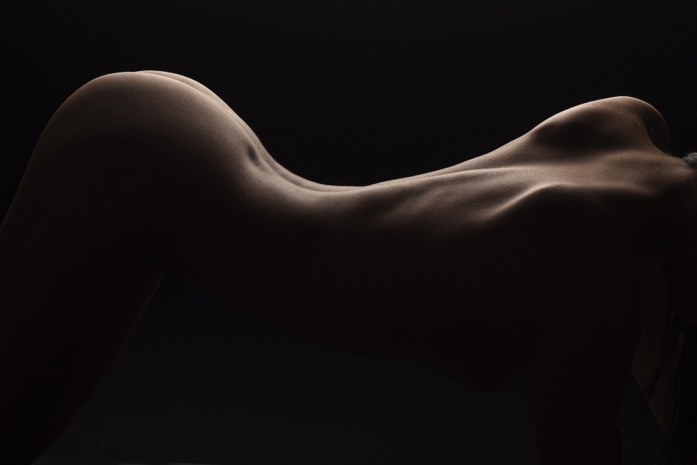 Sensual Body Silhouette by Alexandar Lazarov — canvas wall art