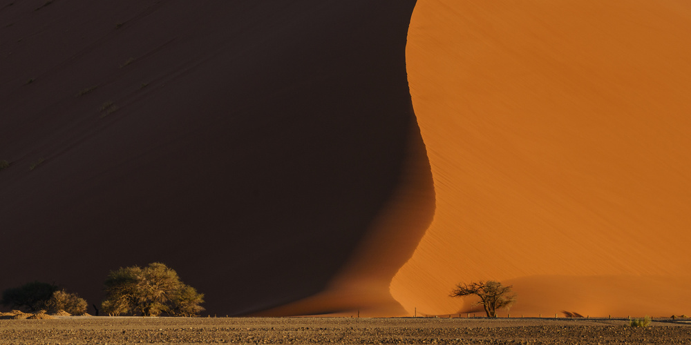 Golden Desert Dune Shadow by Erik Proper — canvas wall art