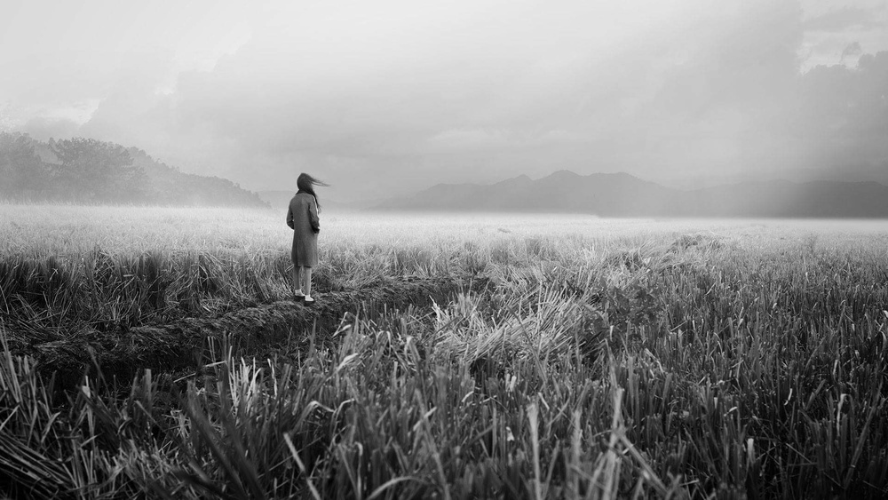 Figure in Misty Field by Rudi Gunawan — canvas wall art