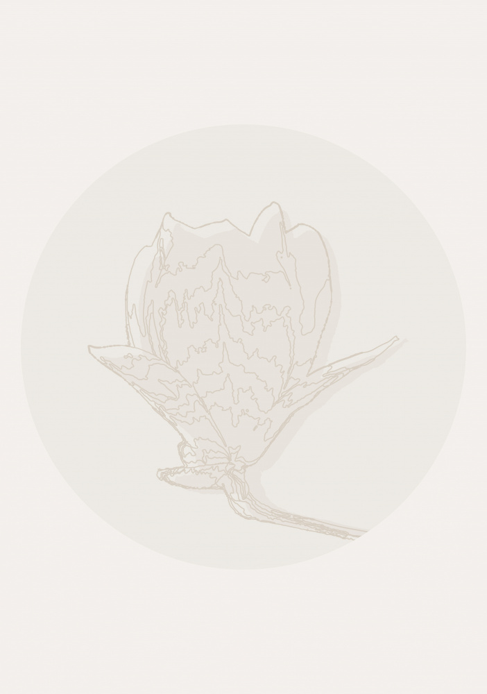 Delicate Floral Outline by Lisa Solomoniuk — canvas wall art
