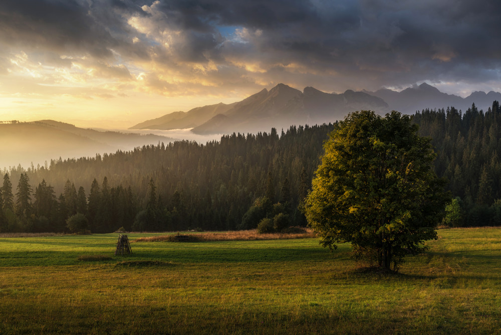 Misty Mountain Sunrise by Marian Kuric QEP — canvas wall art