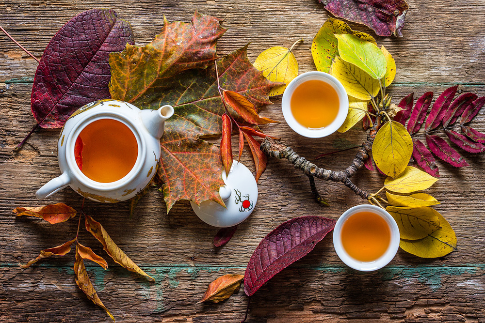 Cozy Autumn Tea by Stanislav Aristov — canvas wall art