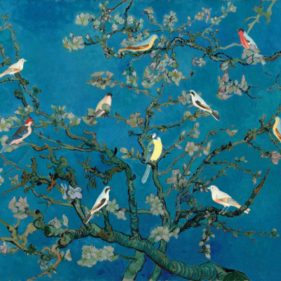 Birds In the Almond Blossom