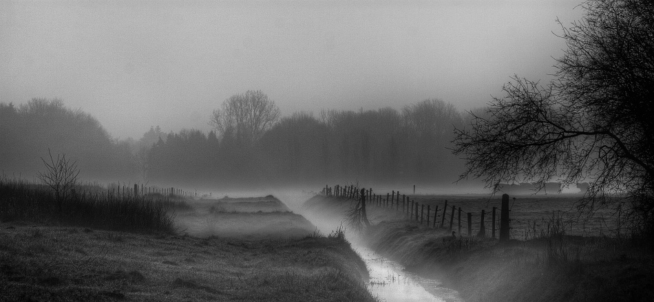 Misty Winter Stream by Max Witjes — canvas wall art
