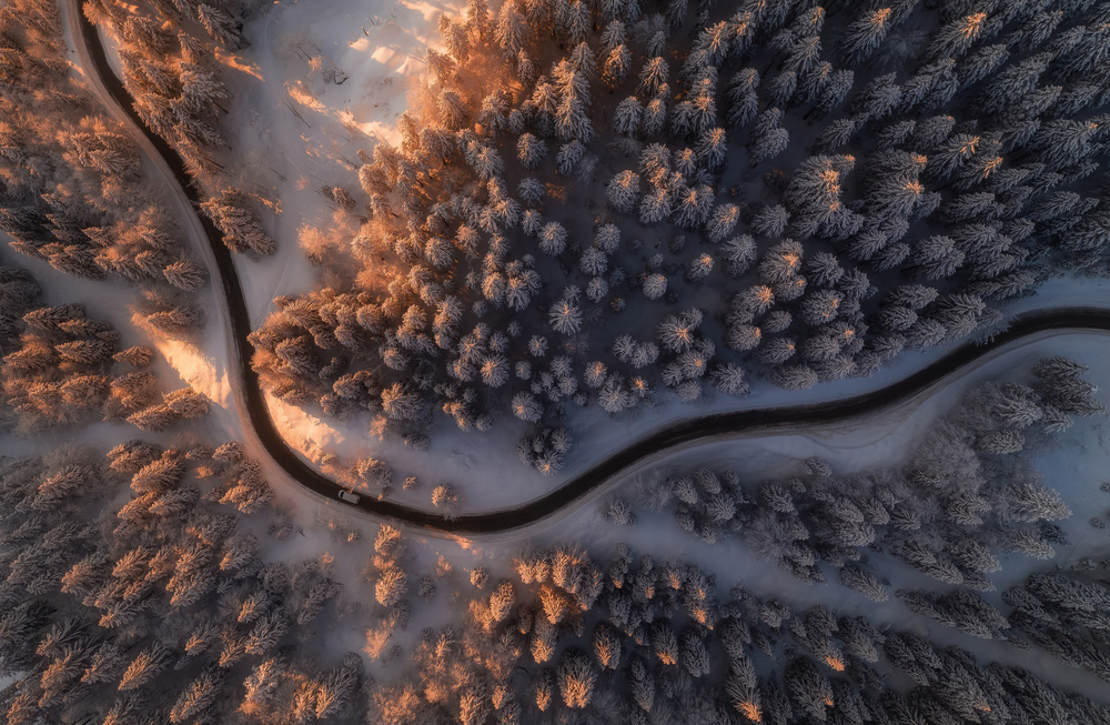 Winding Snowy Forest Road by Ales Krivec — canvas wall art