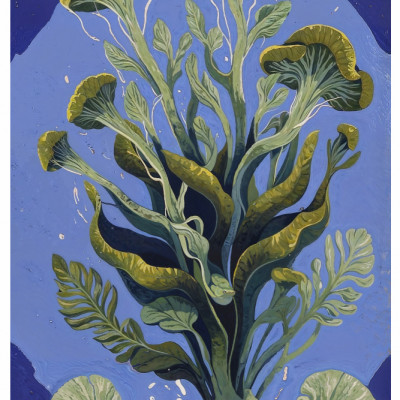 Oceanic Plants