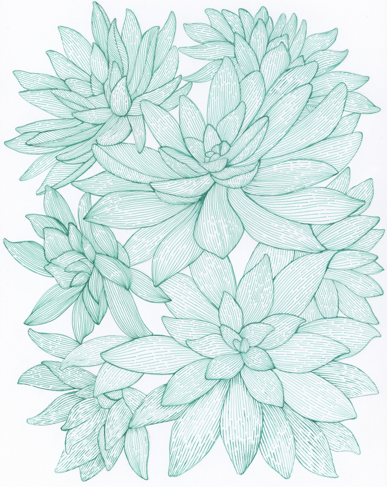 Turquoise Succulents by Katie O'Shea — canvas wall art