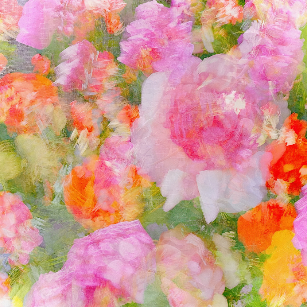 Dreamy Floral Abstract by Molly Fu APA — canvas wall art