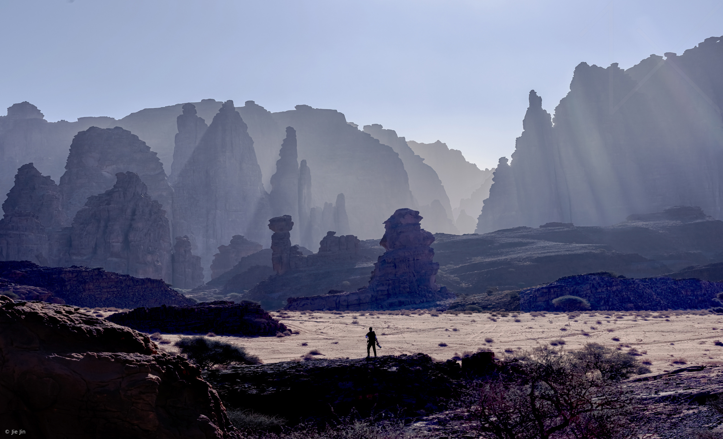 Within light and shadow