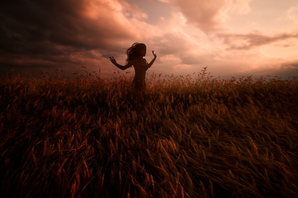Woman In Sunset Field by Peter Majkut — canvas wall art