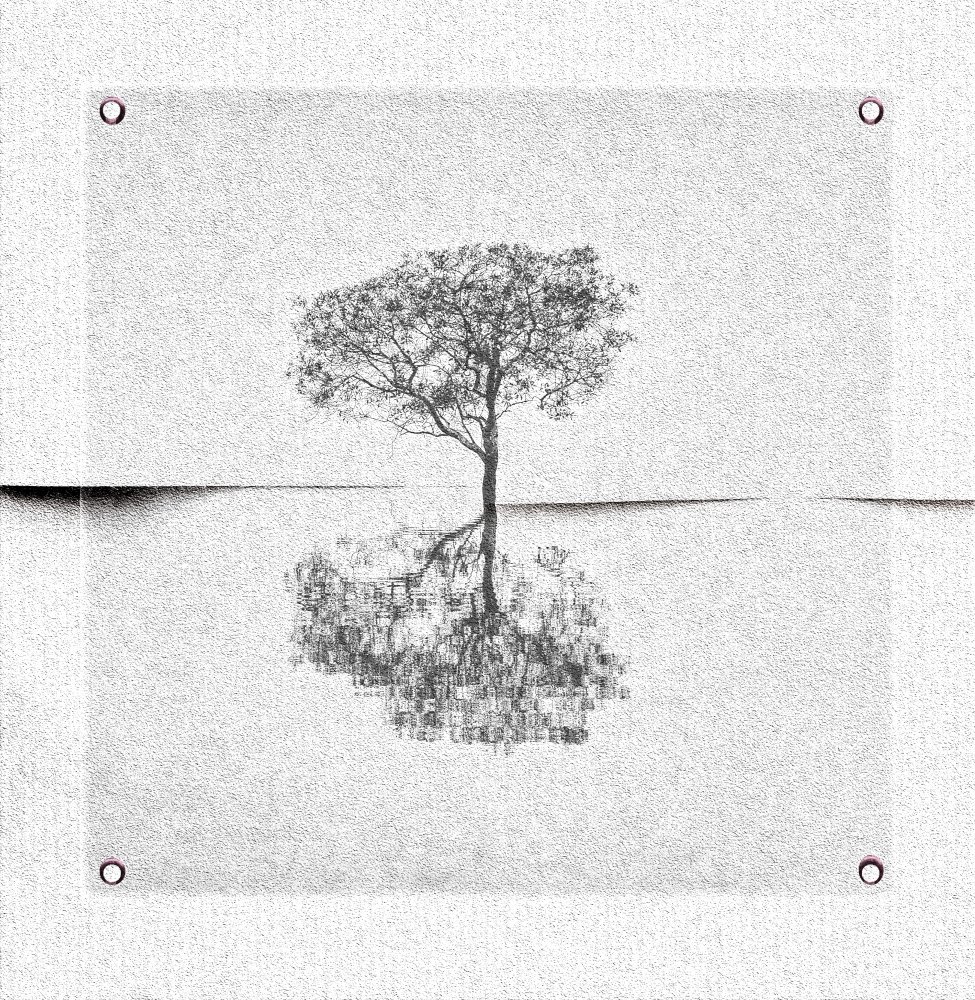 Serene Tree Reflection by Harry Verschelden — canvas wall art