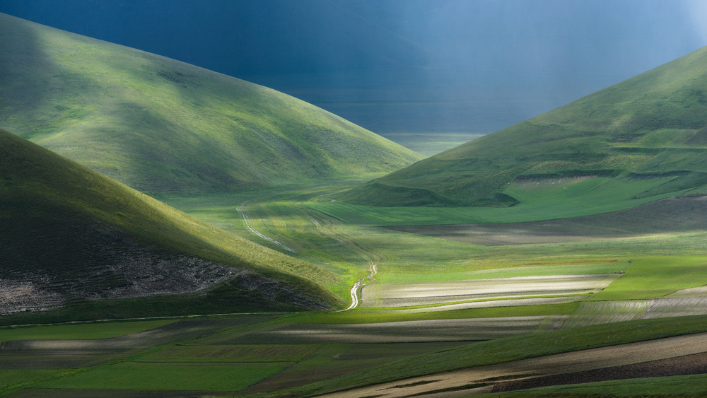 Sunlit Rolling Hills by Riccardo Lucidi — canvas wall art