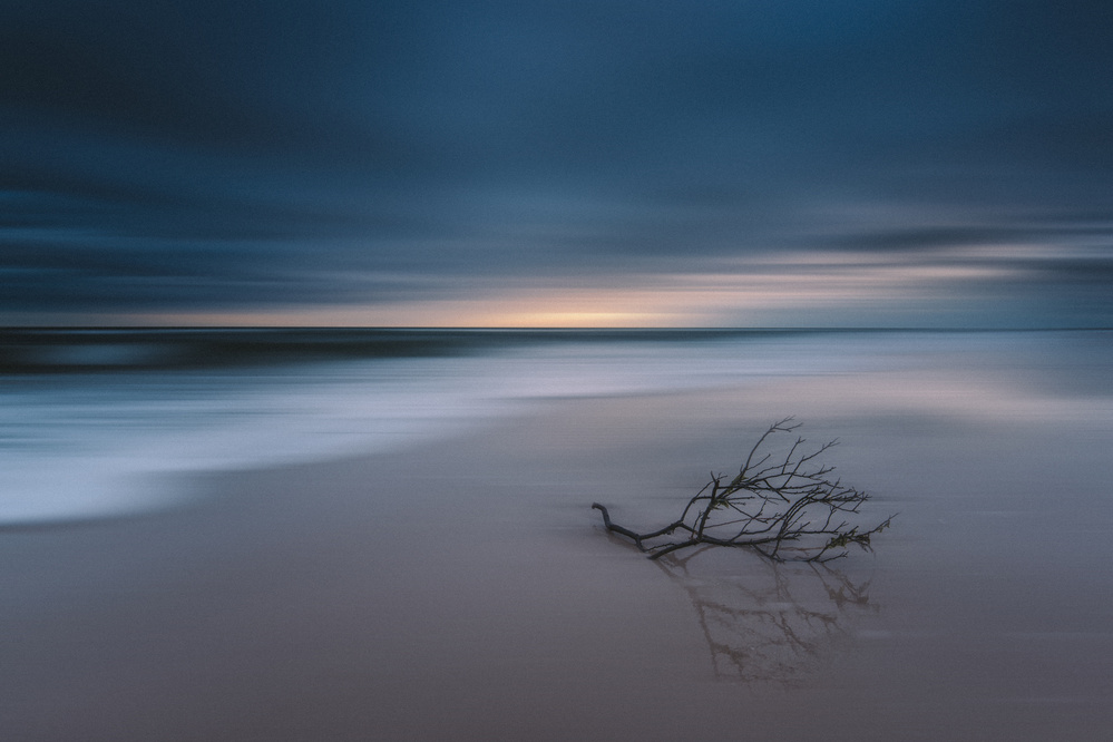 Tranquil Beach Branch by menghuailin — canvas wall art