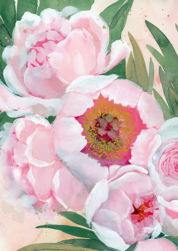 Pink Peony Blooms by Rosana Laiz Blursbyai — canvas wall art