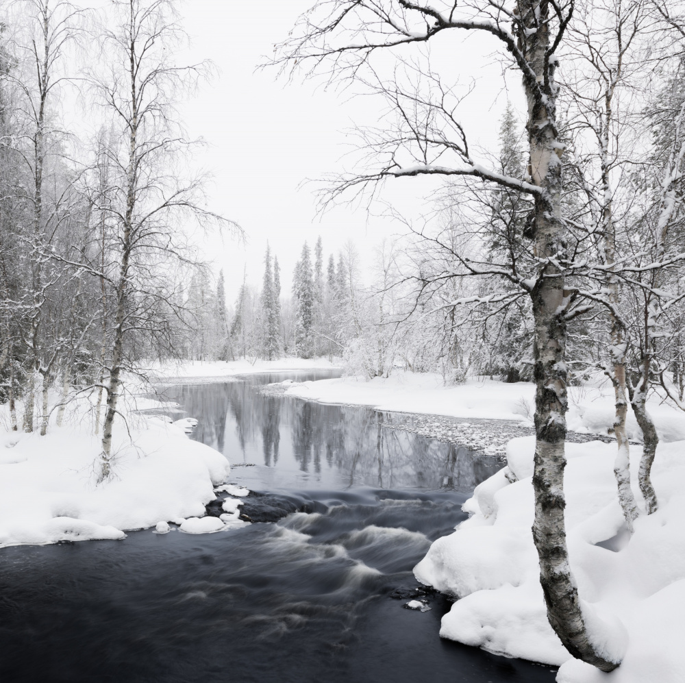 Snowy Forest River by Haim Rosenfeld — canvas wall art