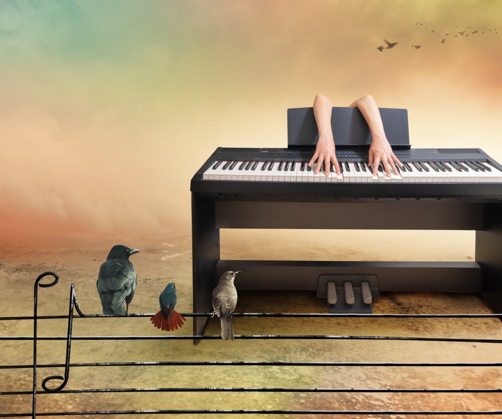 Musical Hands Birds Nature by Biao Huang — canvas wall art