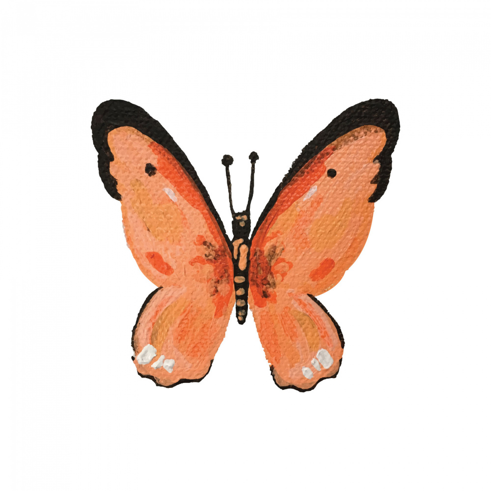 Delicate Orange Butterfly by Madison Phipps — canvas wall art
