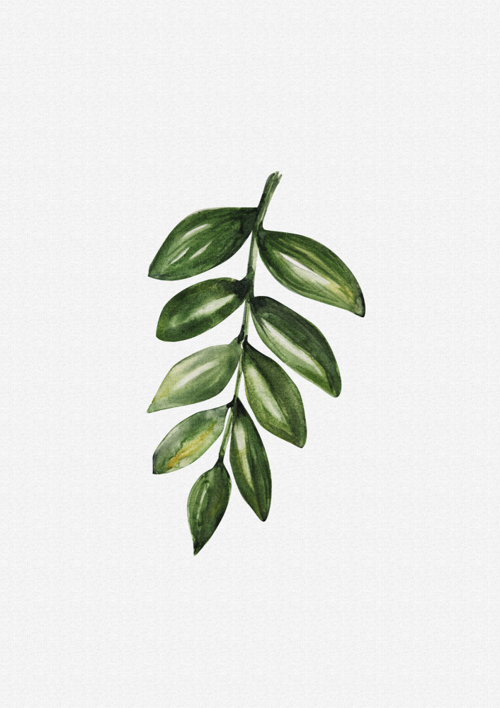 Fresh Green Leaf Branch by Olena Kovalova — canvas wall art