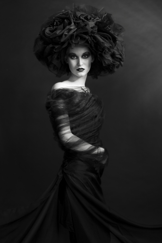Sculptural Dark Elegance by Photographer — canvas wall art