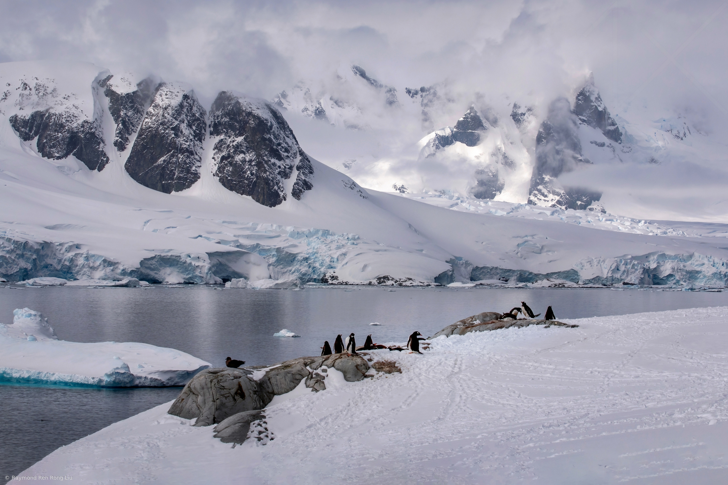 The Scenery Seen from High Place in Antarctic Peninsula